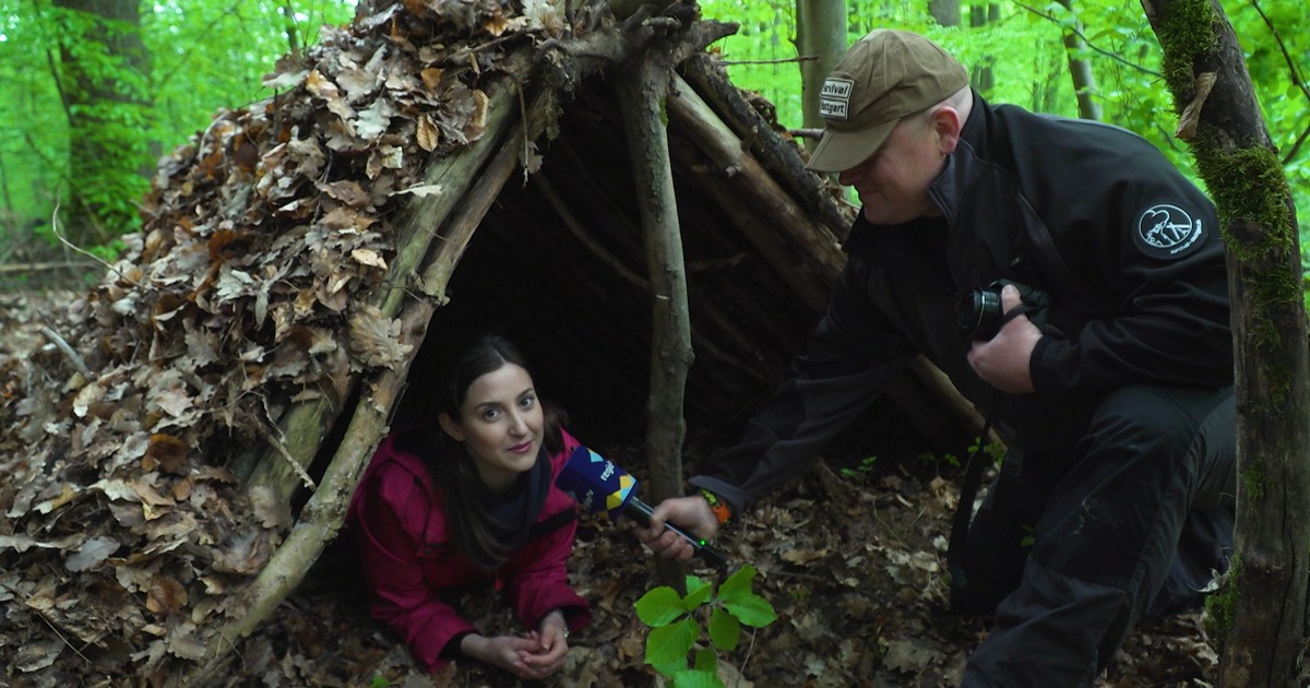 Survival Training im Bopser-Wald + FunFacts Stuttgart ...